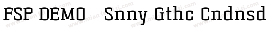 FSP DEMO   Snny Gthc Cndnsd Regula字体转换